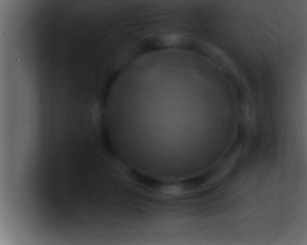 X0000100760653200807031151