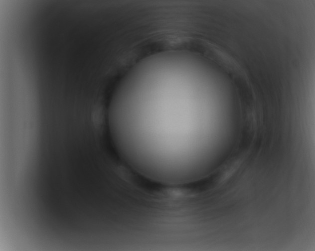 X0000100760654200807031151