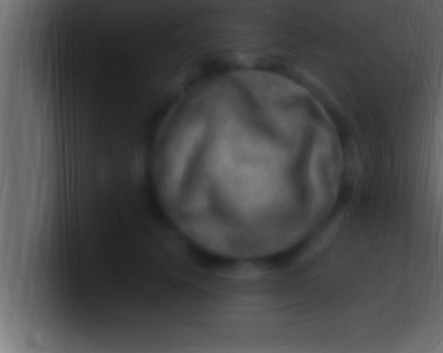 X0000100760656200807031151