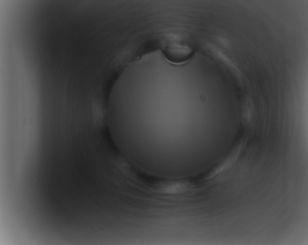 X0000100760661200807031151