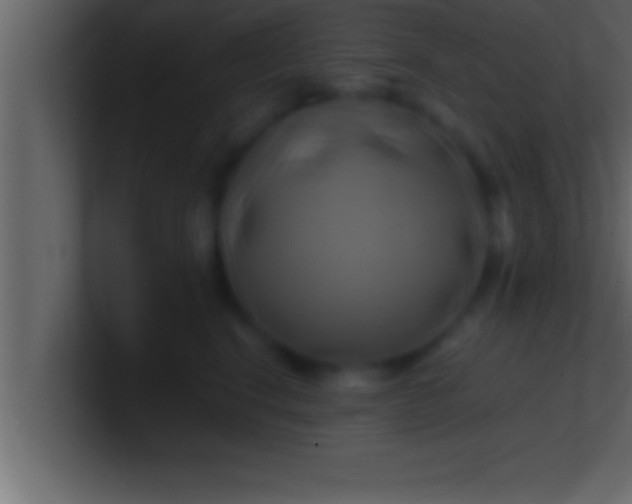 X0000100760664200807031151