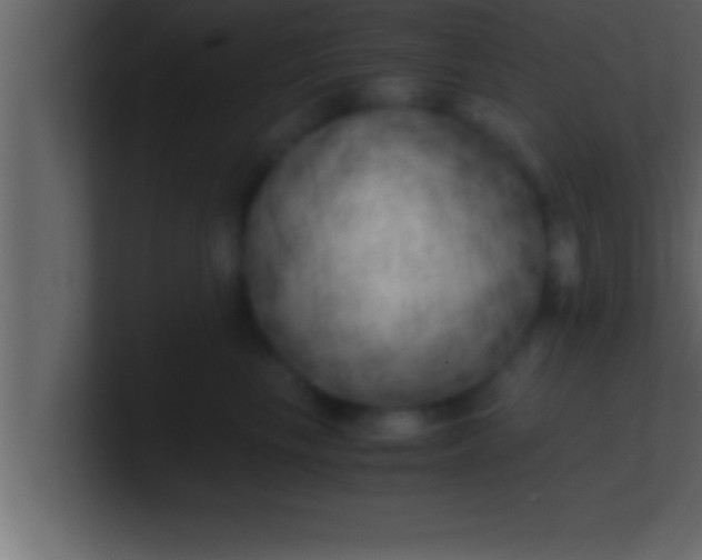 X0000100760665200807031151