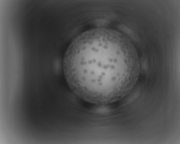 X0000100760667200807031151