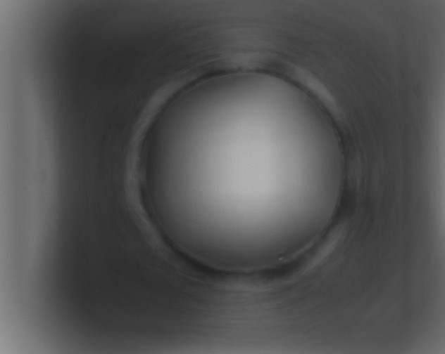 X0000100760673200807031150