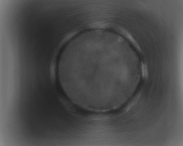 X0000100760675200807031150