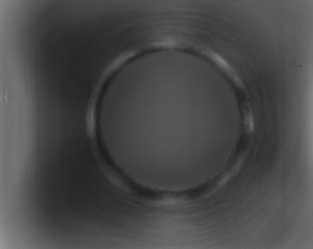 X0000100760678200807031150