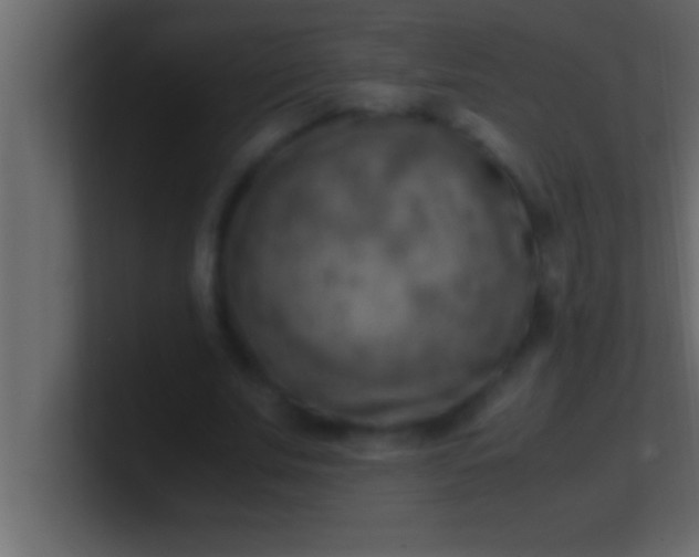 X0000100760679200807031150