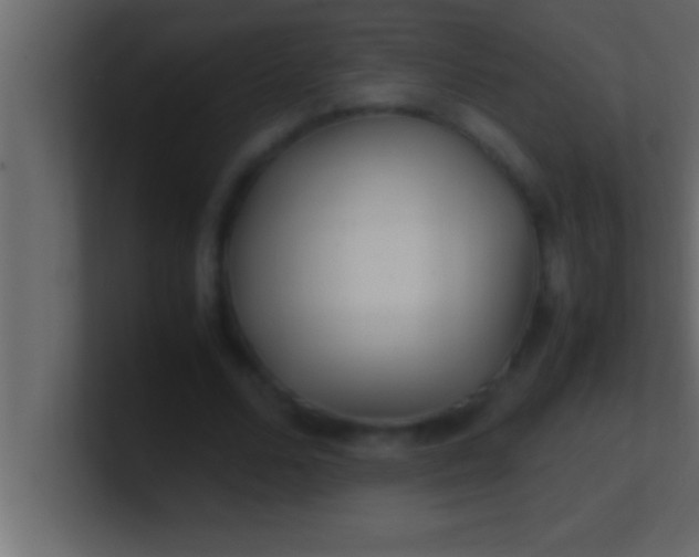 X0000100760680200807031150