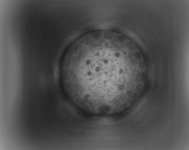 X0000100760683200807031150