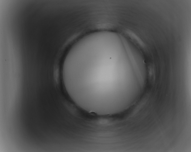 X0000100760684200807031150