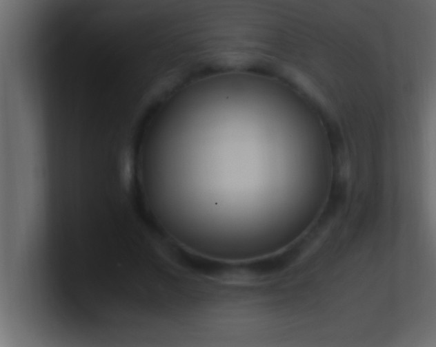 X0000100760685200807031150