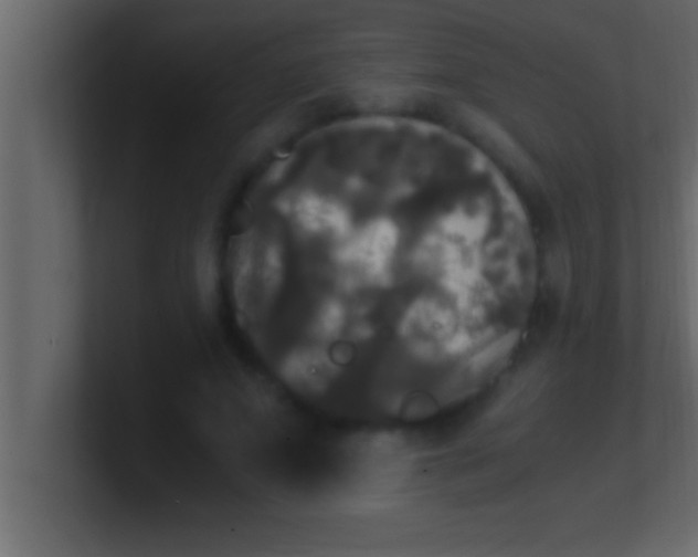 X0000100760687200807031150