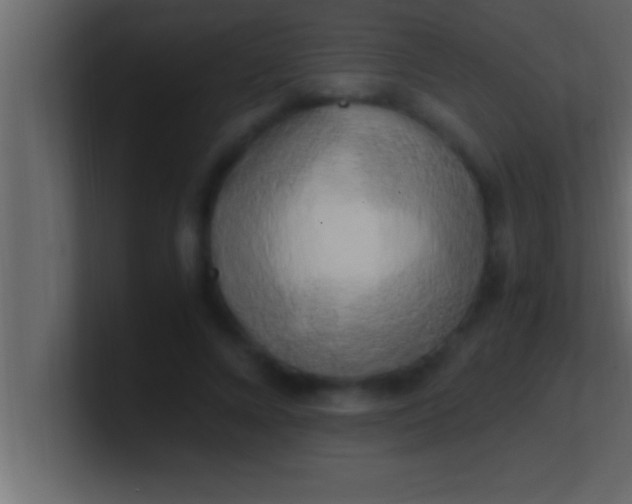 X0000100760688200807031150