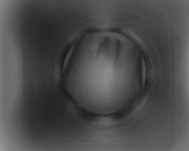 X0000100760689200807031150