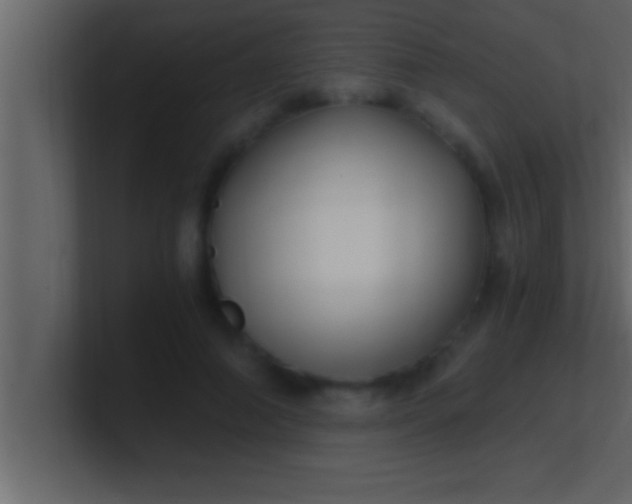 X0000100760690200807031150