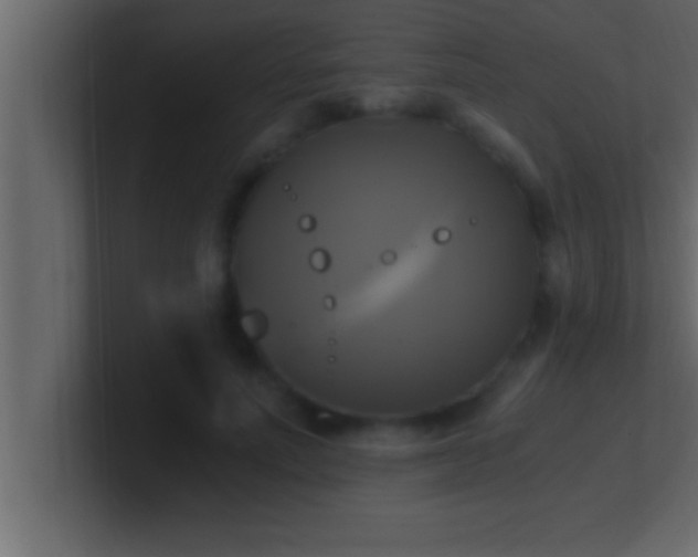 X0000100760691200807031150