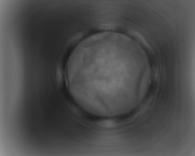 X0000100760692200807031150