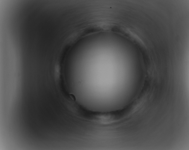 X0000100760693200807031150