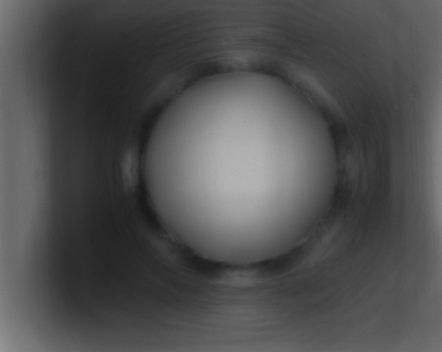 X0000100760694200807031150