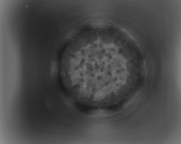 X0000100760695200807031150