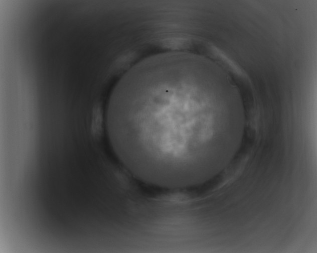 X0000100760696200807031150