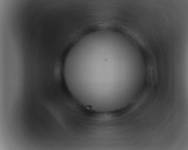 X0000100760698200807031150