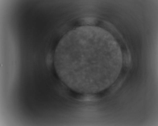 X0000100760701200807031150