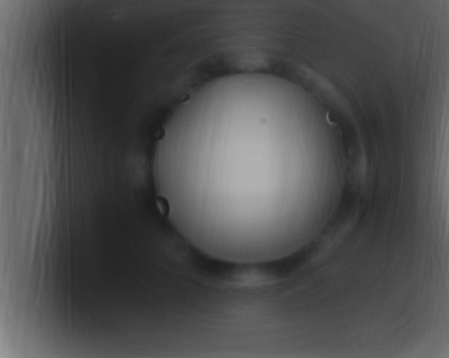 X0000100760704200807031150