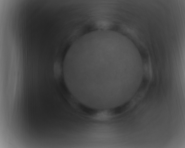 X0000100760705200807031150