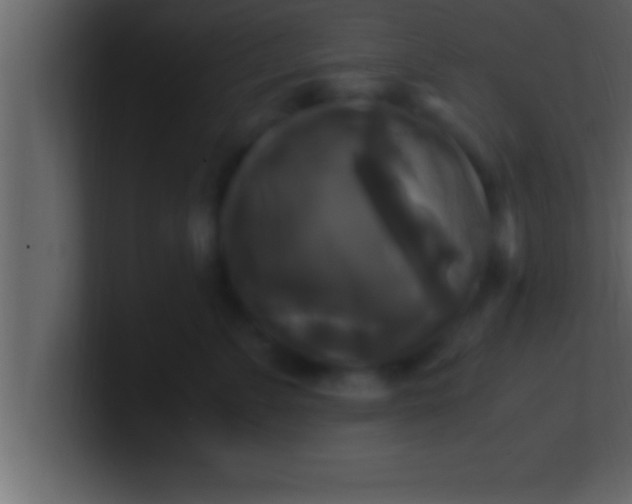 X0000100760715200807031150