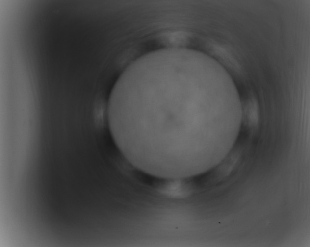 X0000100760717200807031150