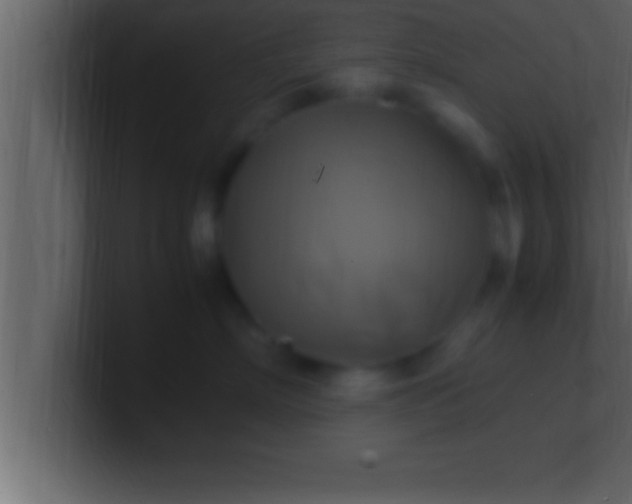 X0000100760718200807031150