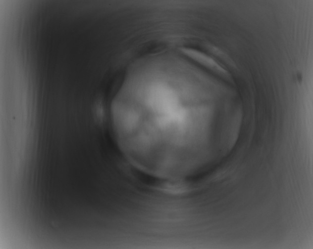 X0000100760720200807031150