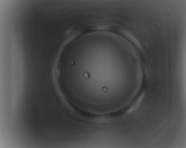 X0000100760721200807031149