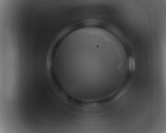 X0000100760723200807031149