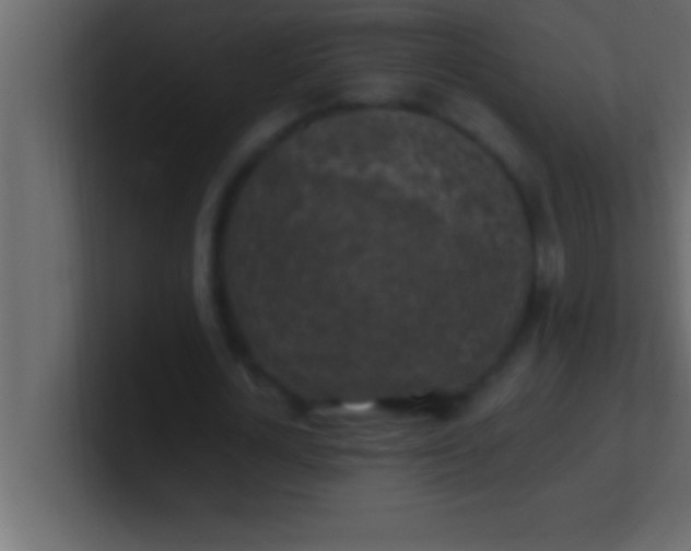 X0000100760724200807031149