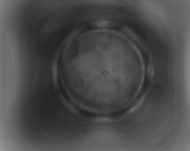 X0000100760725200807031149