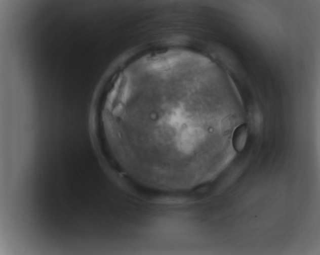 X0000100760726200807031149