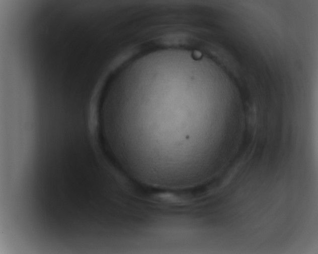 X0000100760727200807031149