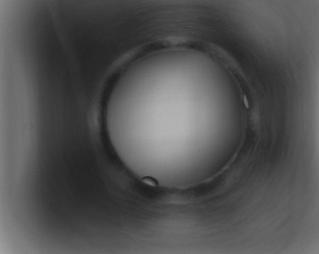 X0000100760732200807031149