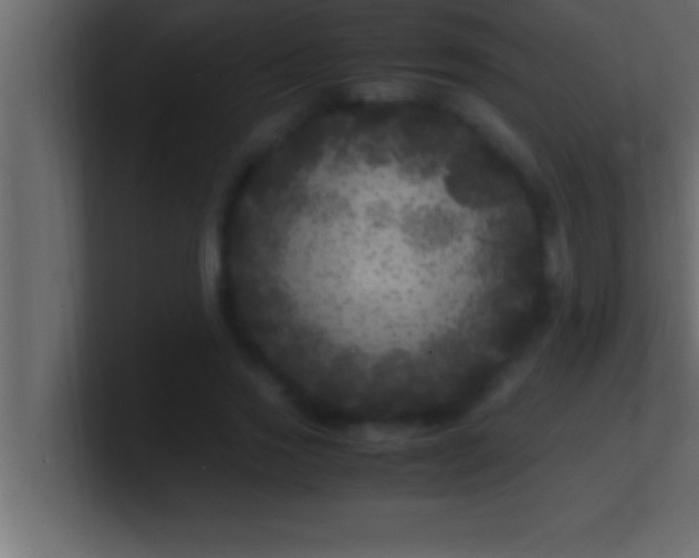 X0000100760733200807031149