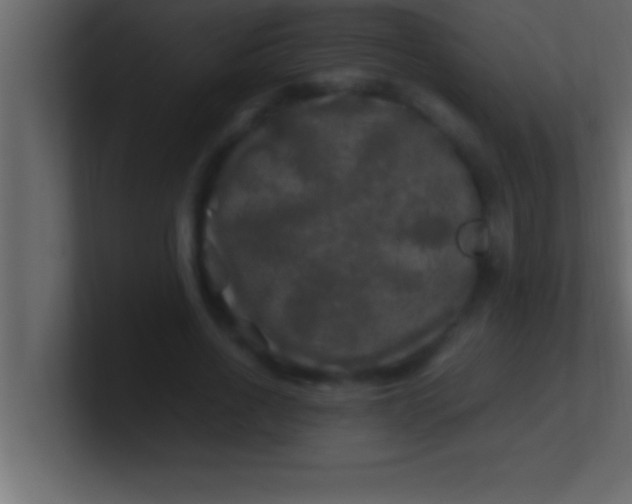 X0000100760734200807031149