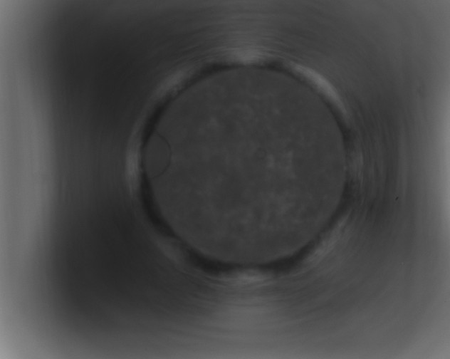 X0000100760736200807031149