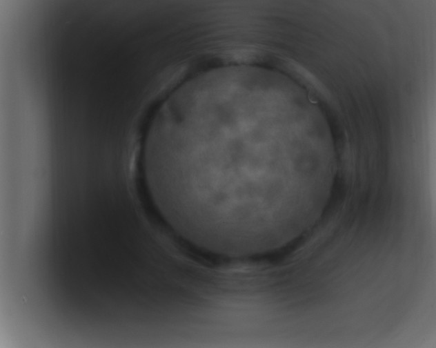 X0000100760738200807031149