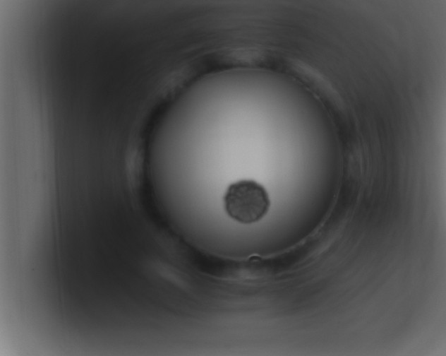 X0000100760739200807031149