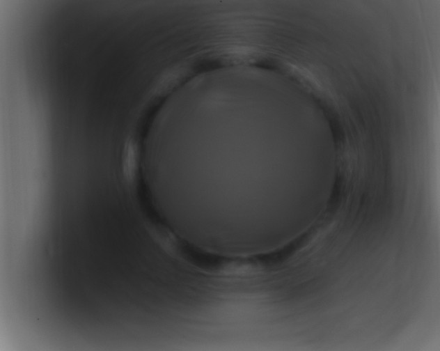 X0000100760742200807031149