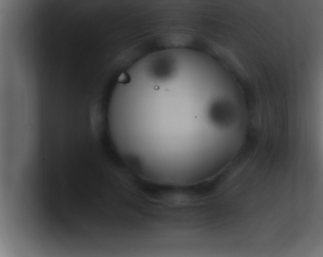 X0000100760743200807031149