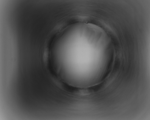 X0000100760744200807031149