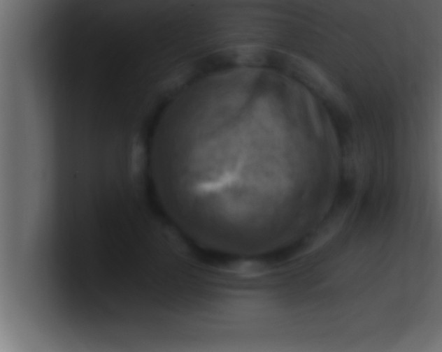 X0000100760748200807031149