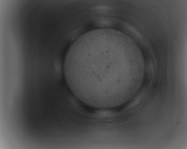 X0000100760749200807031149